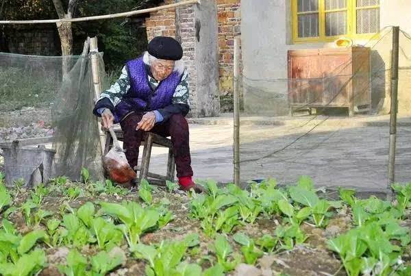 贵州105岁以上长寿秘诀(105岁老太说自己长寿的秘诀)