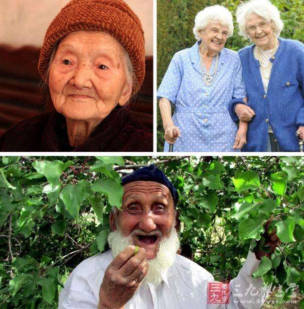 老人养生长寿的6个秘诀(老年人怎样养生才健康长寿)