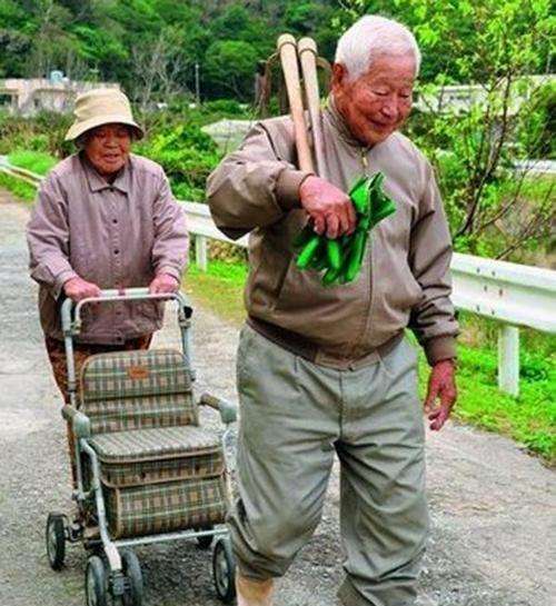 日本长寿的六个秘诀(日本人长寿的10大秘诀)