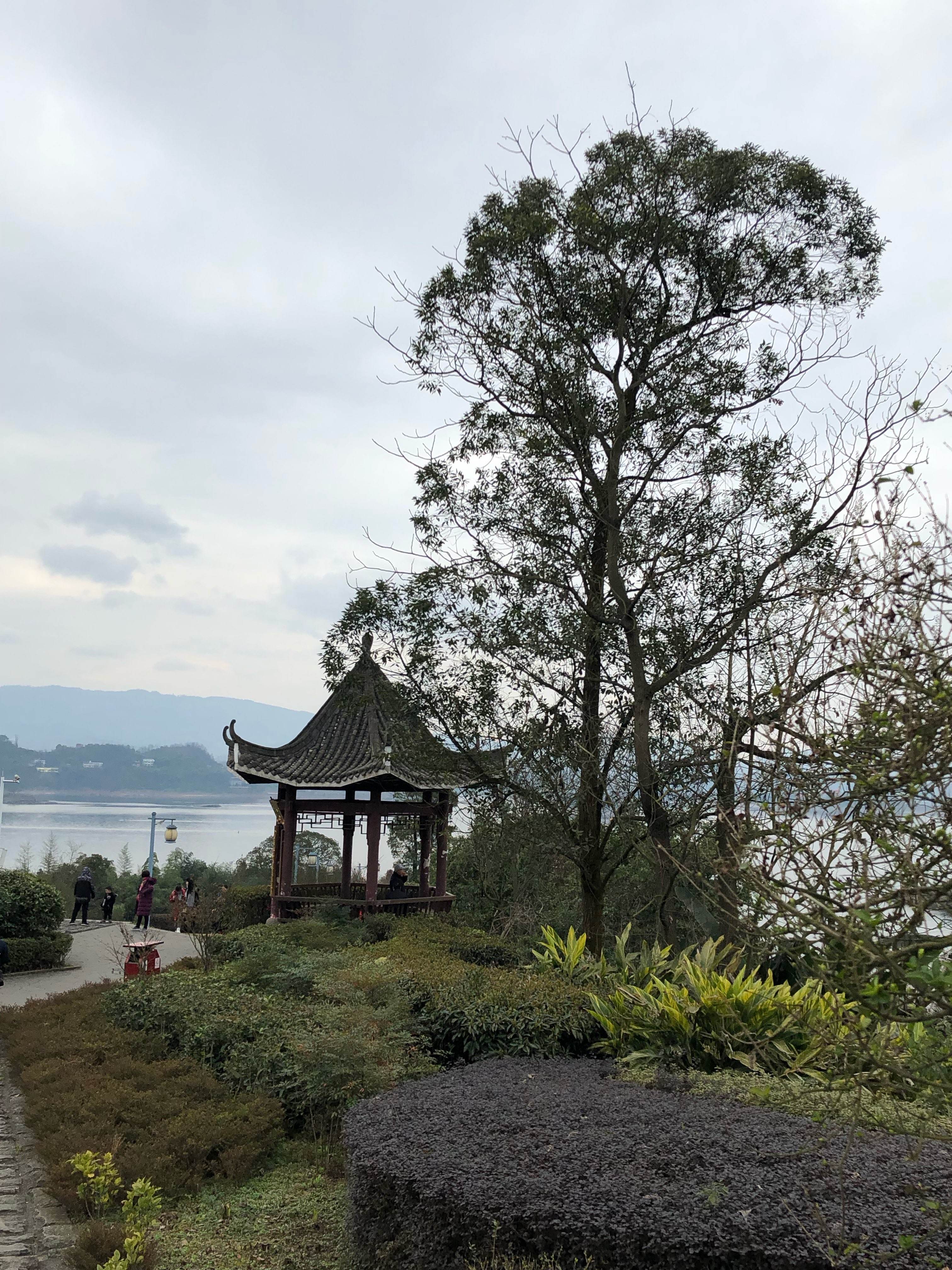 长寿菩提山水上乐园(长寿山水上乐园门票多少钱)