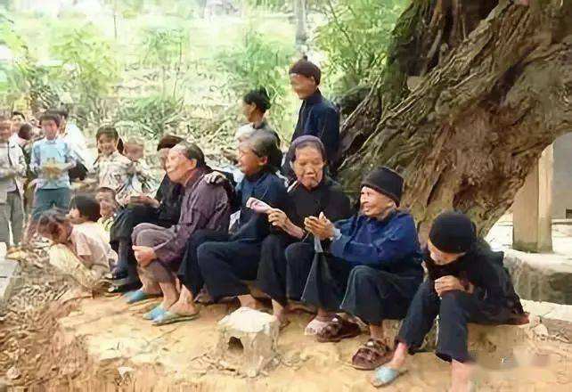 幽默女人长寿秘诀(长寿秘诀顺口溜 女朋友)