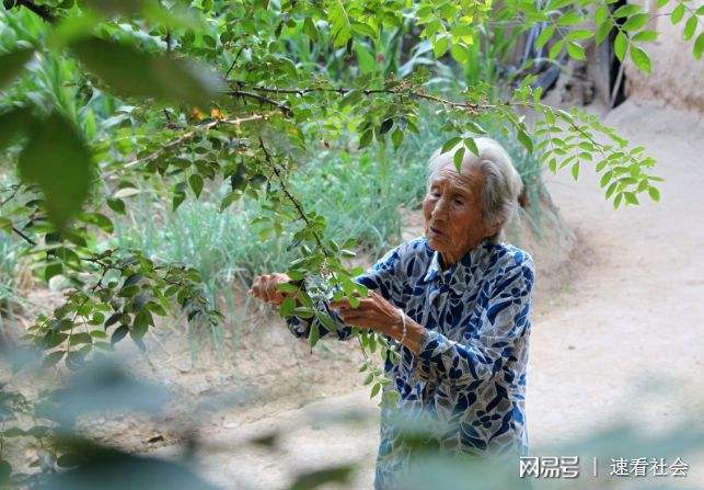 114岁老太太长寿秘诀(105岁老太说自己长寿的秘诀)