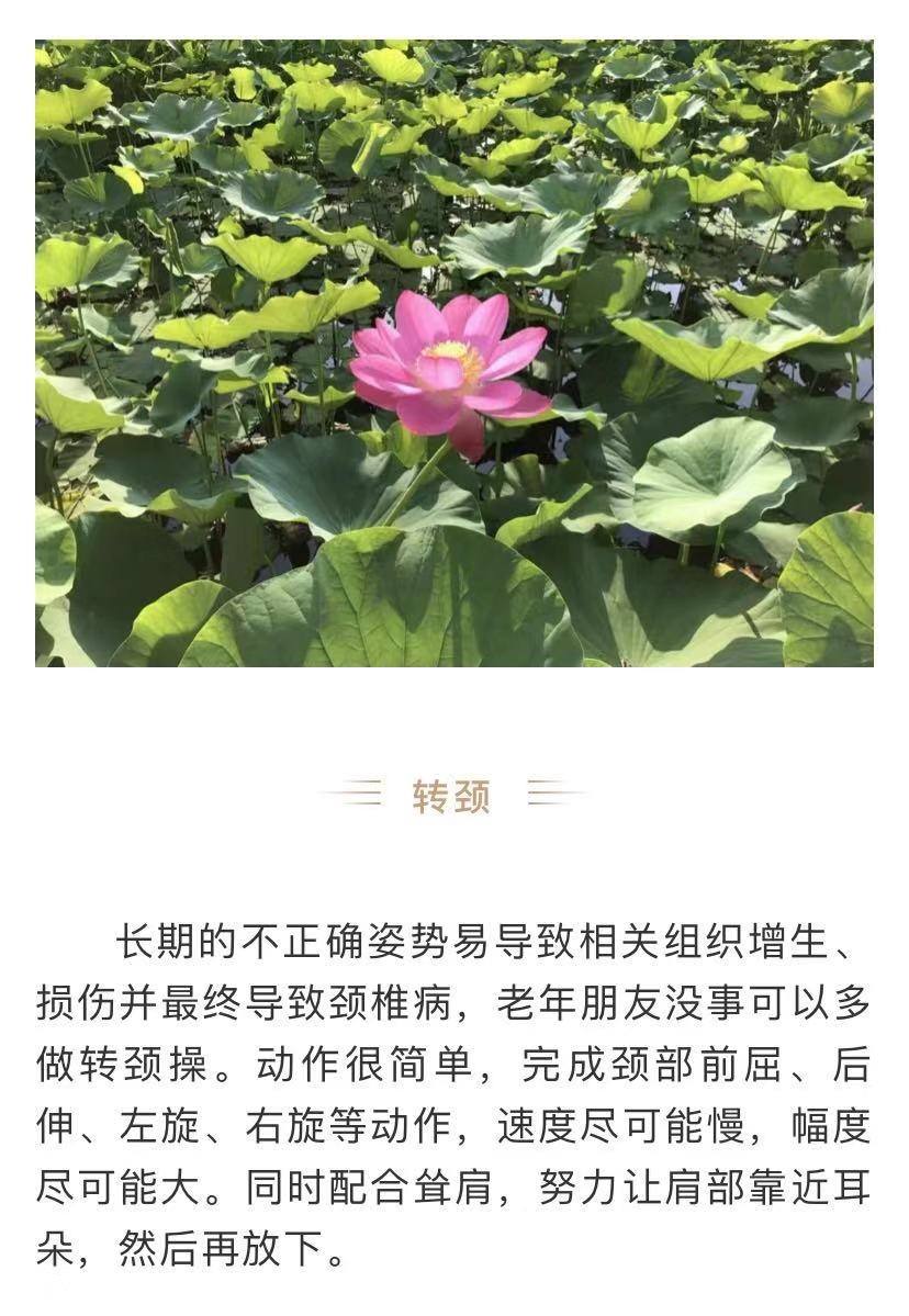 长寿的6个小秘诀(公认的长寿三大秘诀)