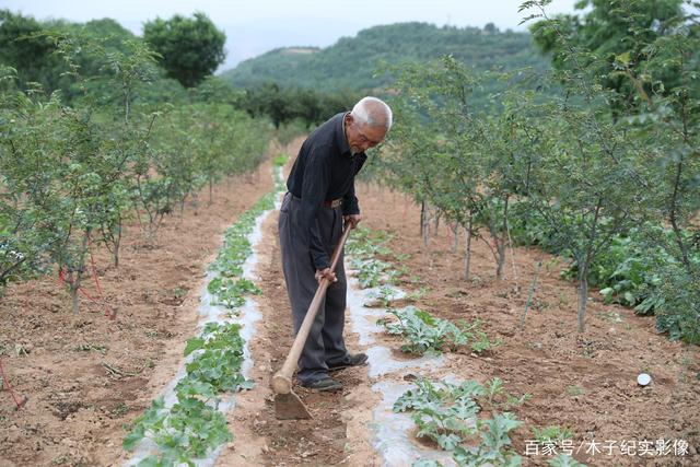 94岁爷爷长寿秘诀(1420名百岁老人长寿秘诀)