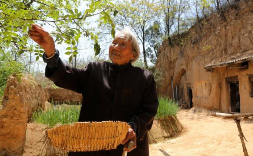 88岁老太太长寿秘诀(107岁老奶奶长寿秘诀)