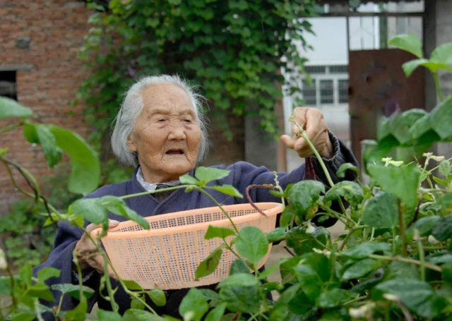 百岁老人饮食的长寿秘诀(100岁长寿老人的健康秘诀)