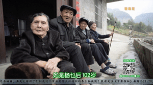 102岁爷爷长寿秘诀(台湾103岁老人的长寿秘诀)