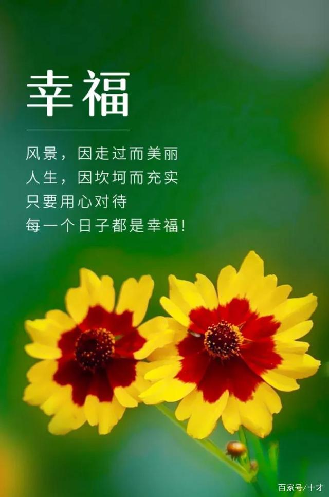 长寿秘诀在于静止(人保持长寿的秘诀是什么)