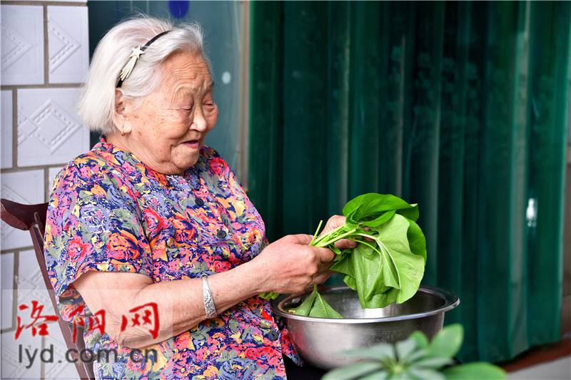 101岁老太长寿秘诀(104岁老奶奶长寿秘诀)