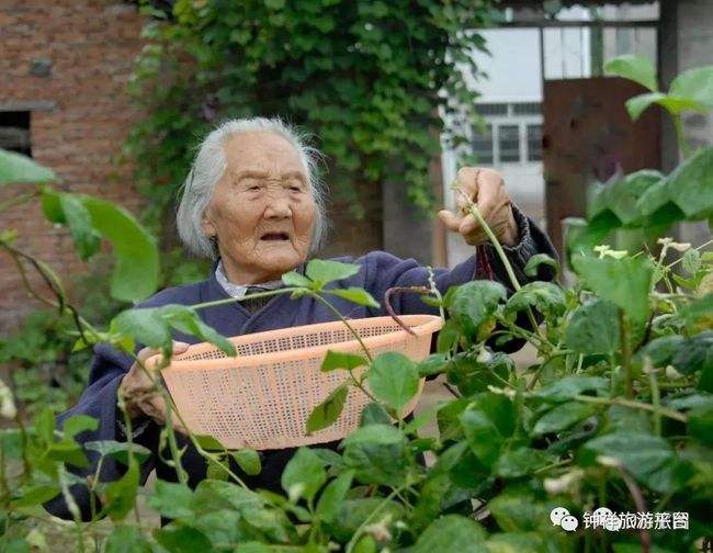 十万种神秘百岁长寿秘诀(如何长命百岁长寿的秘诀是什么)