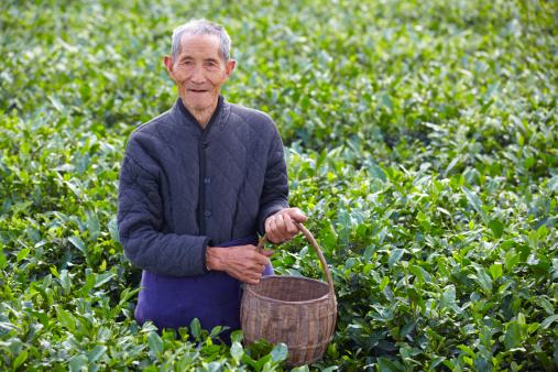 中老年长寿秘诀广西(广西长寿老人的秘诀是什么)