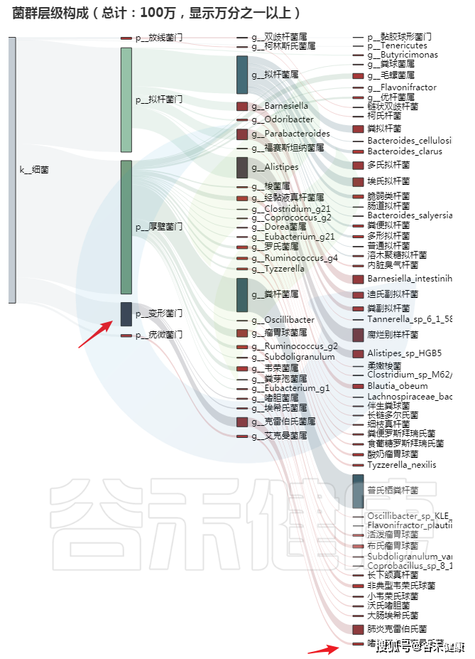 长寿秘诀500例解密(18个简单神奇长寿秘诀)