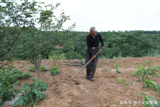 野生大爷的长寿秘诀(采访大爷长寿的秘诀是什么)