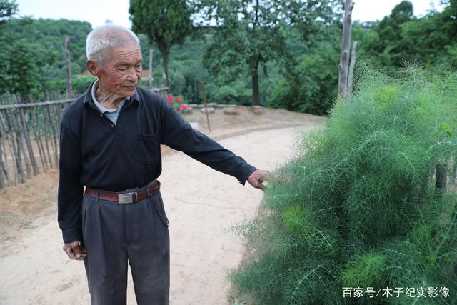 94岁老人讲长寿秘诀(109岁的老人告诉长寿的秘诀是什么)