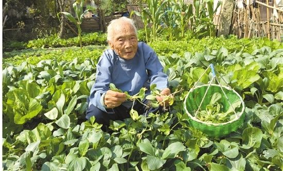 长寿的秘诀就是懒人(长寿的秘诀就是懒!越懒越健康,我完全认同)