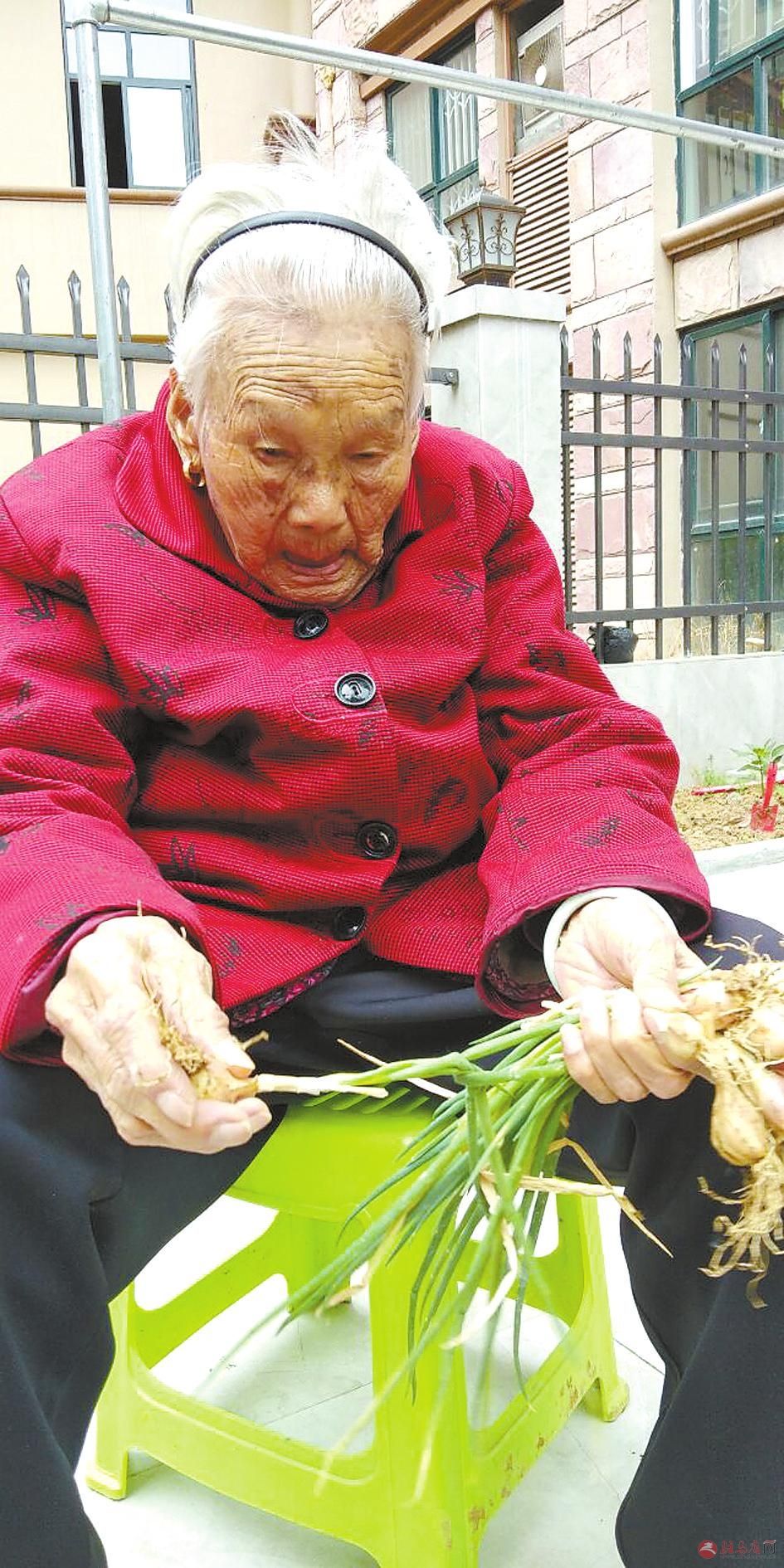 九十岁的老人长寿秘诀(100多岁老太太长寿秘诀)