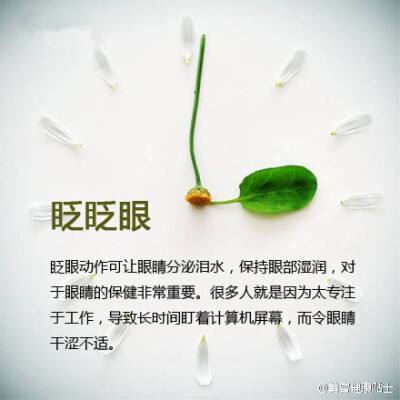 萌宠的日常长寿龟君的养生秘诀的简单介绍