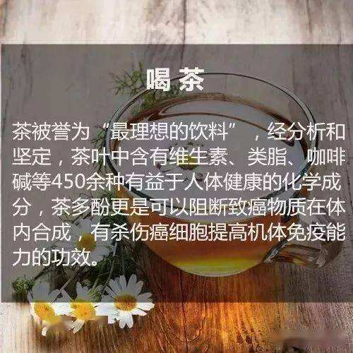 长寿的秘诀每天少吃一点的简单介绍