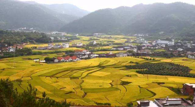 蕉岭长寿论坛(广东梅州蕉岭长寿村)