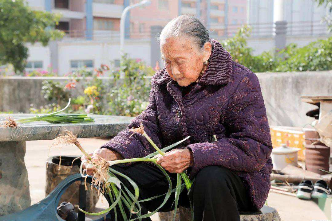 包含90岁阿婆身体健康长寿秘诀的词条