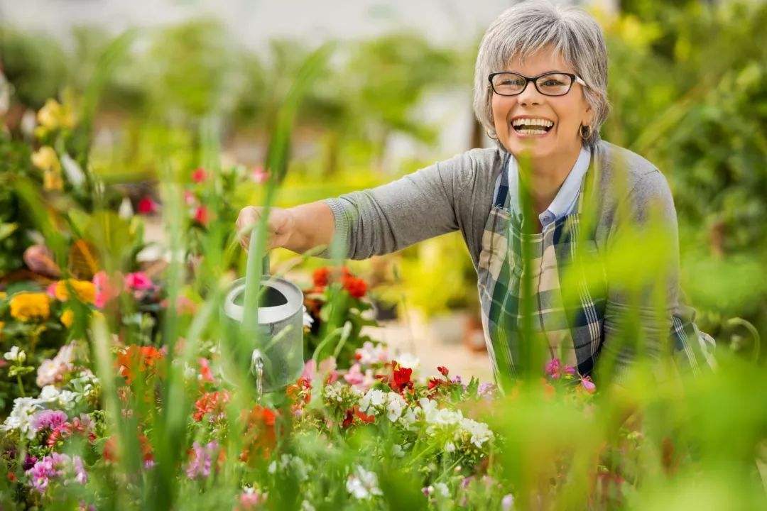 九十岁老人养生长寿秘诀(100岁长寿老人的健康秘诀)