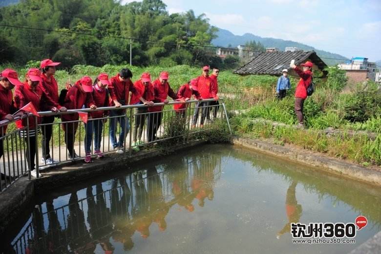 广西浦北长寿秘诀(广西浦北长寿之乡图片)