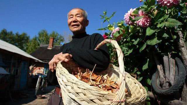 天天抽烟喝酒长寿秘诀(要想健康又长寿抽烟喝酒)