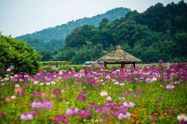 宝丰长寿山水乐园(长寿湖水上游乐中心)