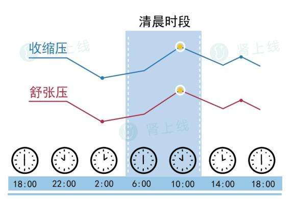 长寿的秘诀晚睡晚起(长寿秘诀晚睡晚起吃肥肉)