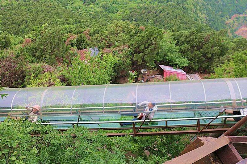 石龙区长寿山水上乐园(长寿山水上乐园门票多少钱)