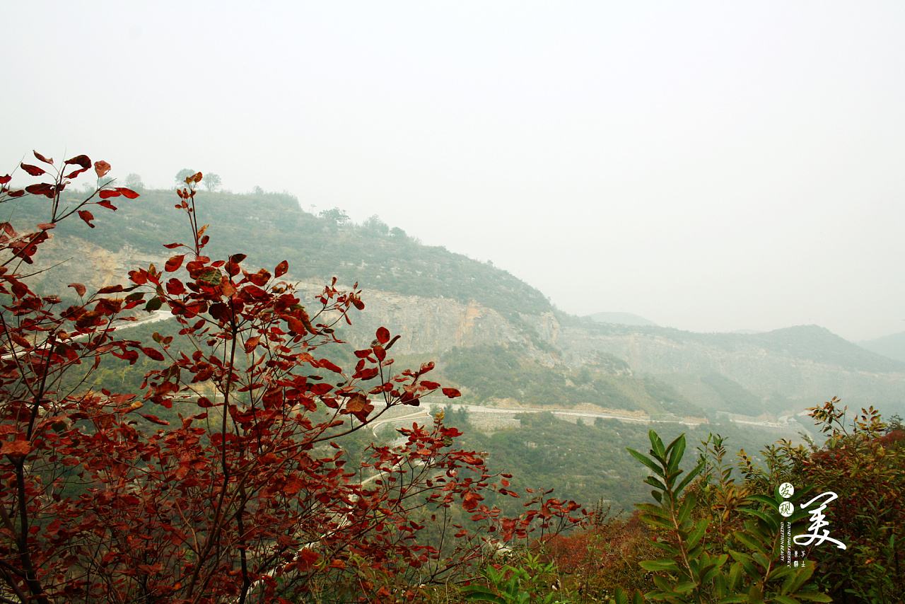 巩义长寿山论坛(巩义长寿山景区官网)