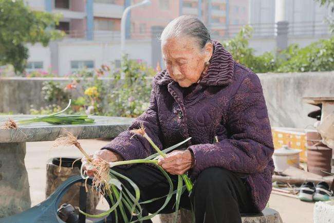 60岁老年人长寿秘诀(十六位百岁老人的长寿秘诀)