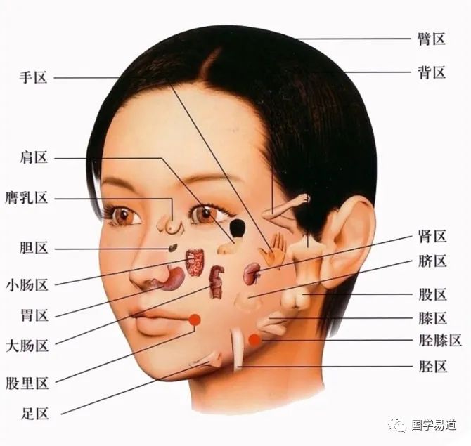 麻衣相看长寿秘诀的简单介绍