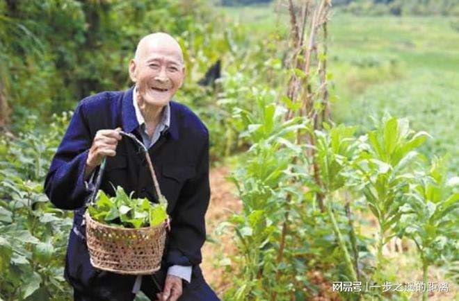 包含爱吃肉的老人长寿秘诀的词条