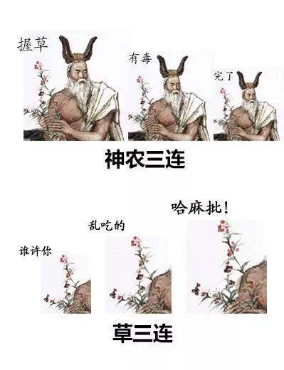 老爷子告诉你们长寿的秘诀表情包的简单介绍