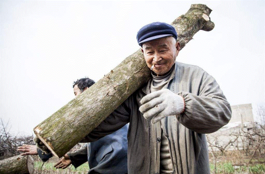 40到50岁长寿秘诀(人过了50岁,做好这四件,长寿20年)